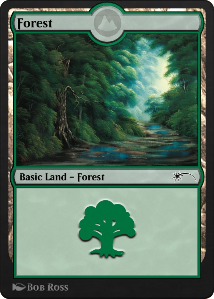Forest - Image 1