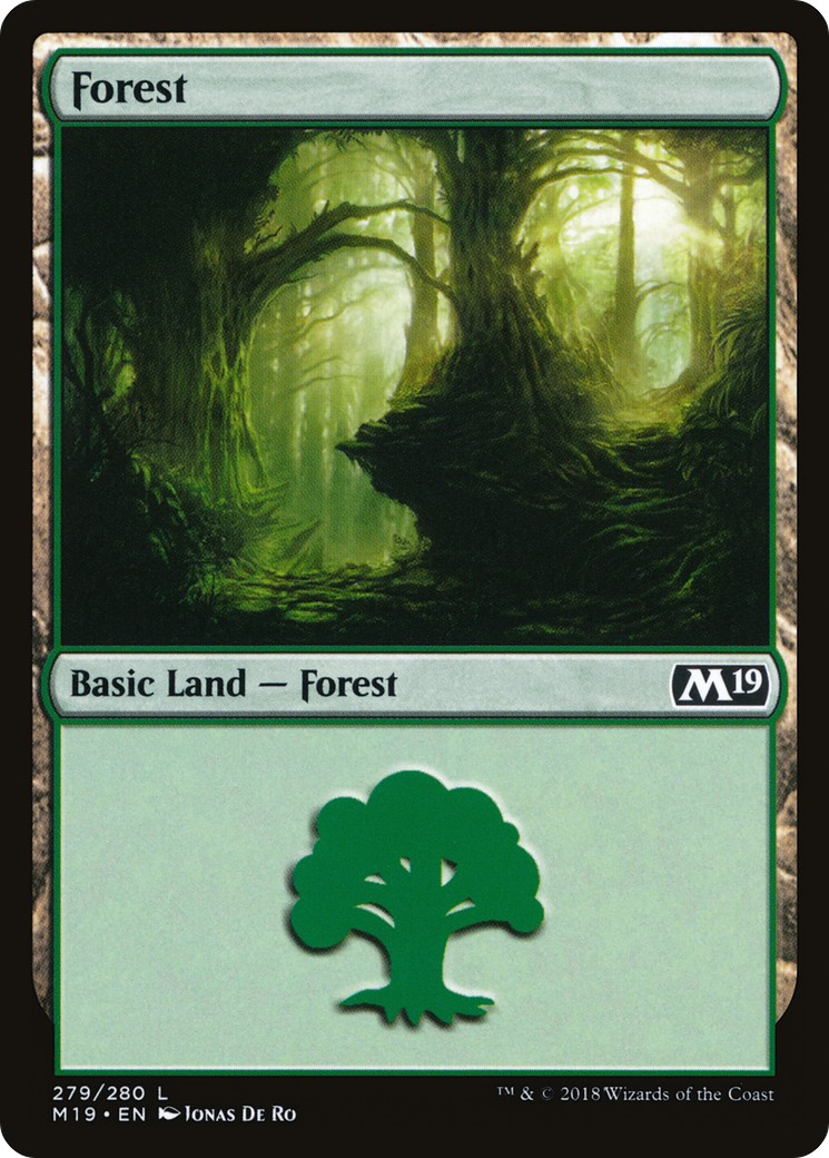 Forest - Image 1