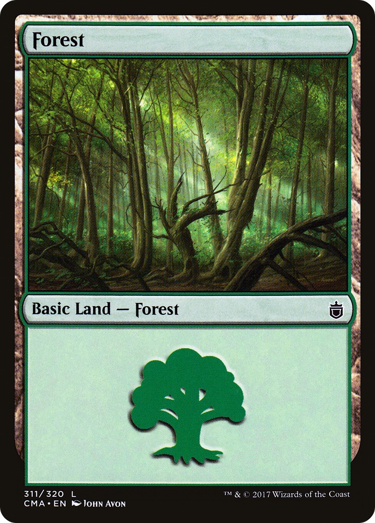 Forest - Image 1