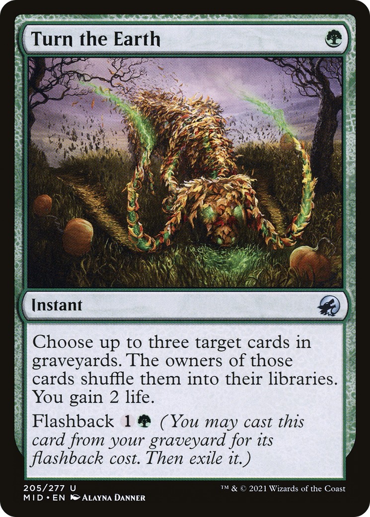2021 Magic: The Gathering Innistrad: Midnight Hunt 2021 Magic: The Gathering Innistrad: Midnight Hunt #205 trading card