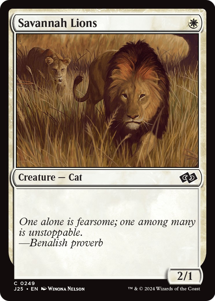 2024 Magic: The Gathering Foundations 2024 Magic: The Gathering Foundations #249 trading card