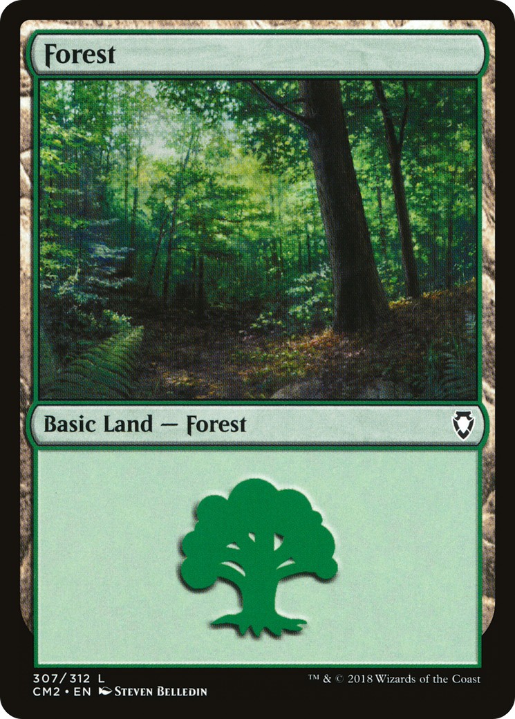 Forest - Image 1
