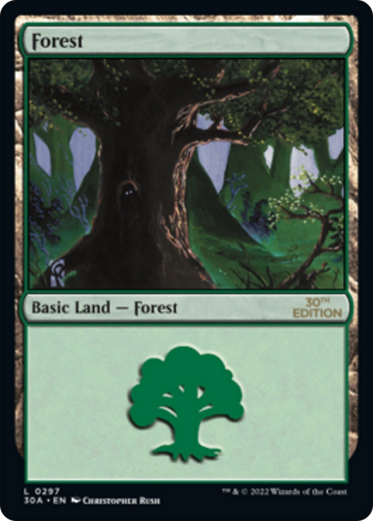 Forest - Image 1