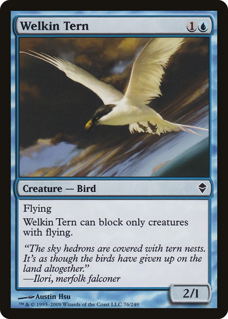 Welkin Tern - Image 1
