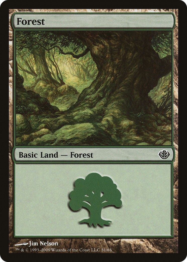 Forest - Image 1