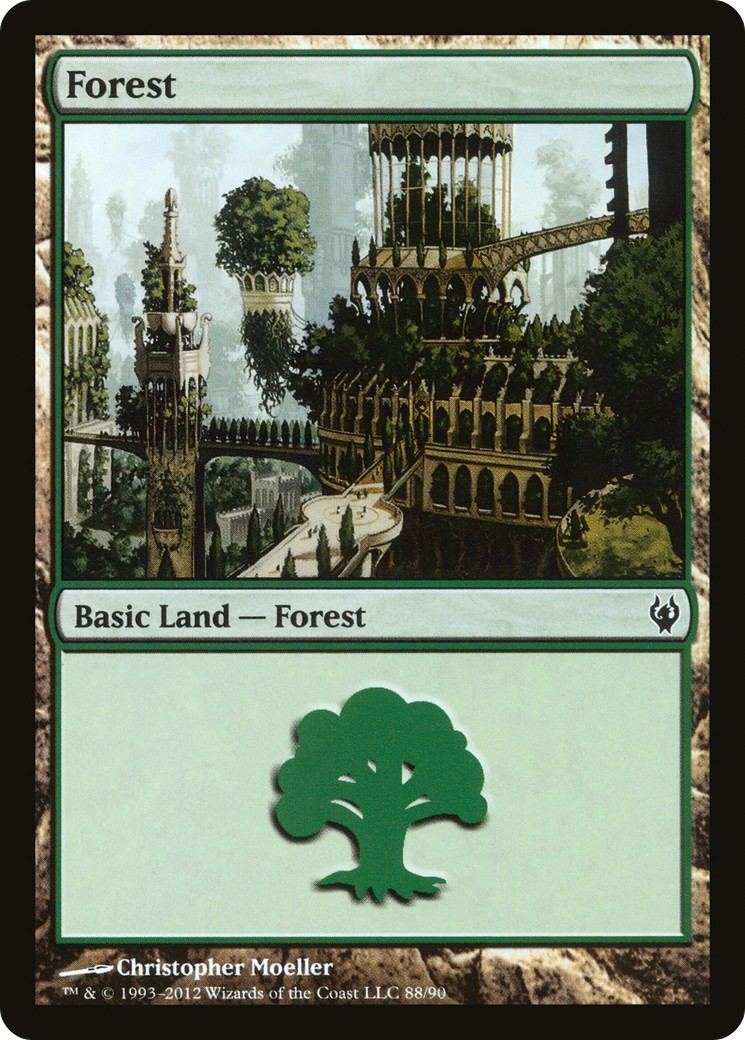 Forest - Image 1