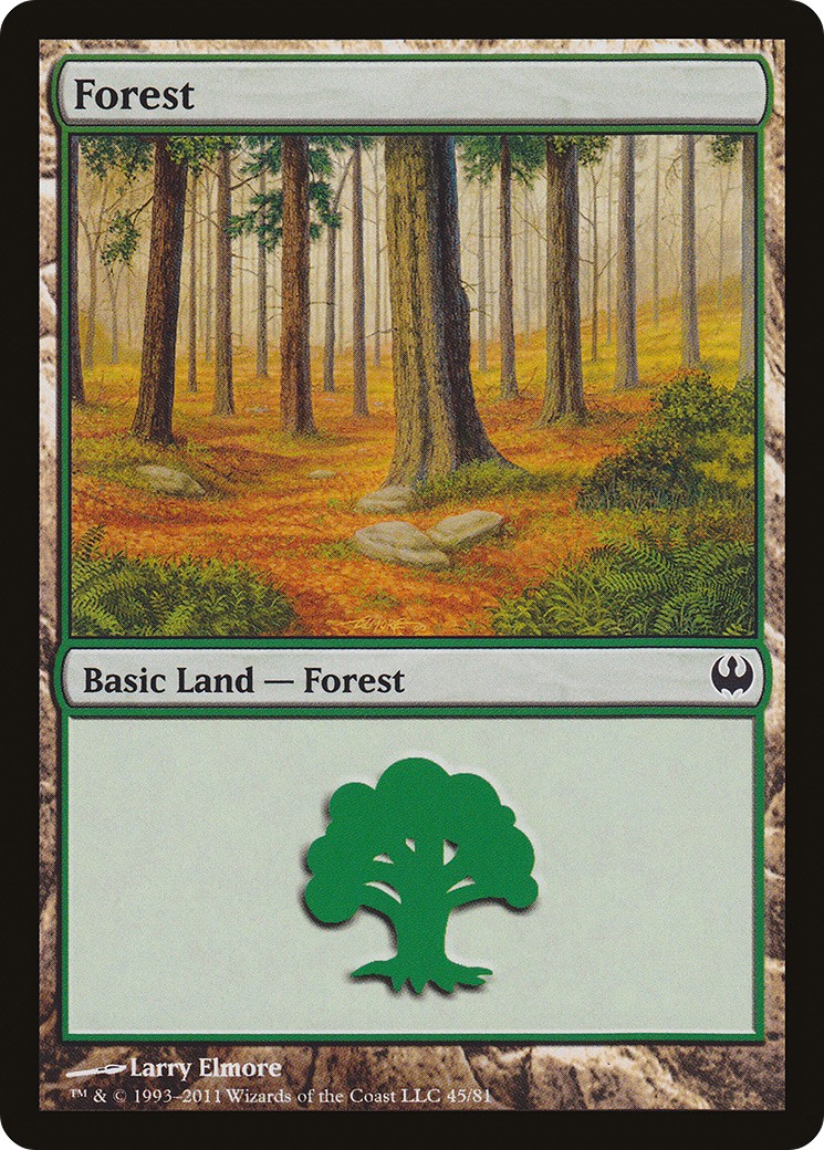 Forest - Image 1