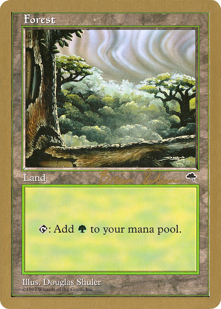 Forest - Image 1