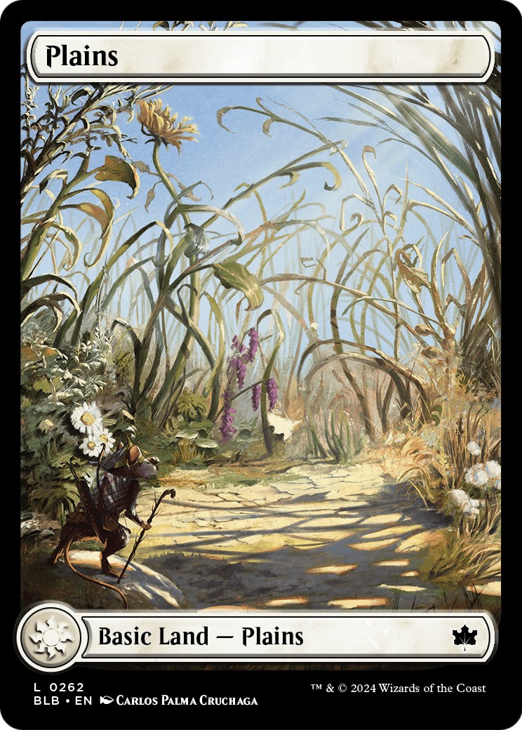 Plains - Image 1
