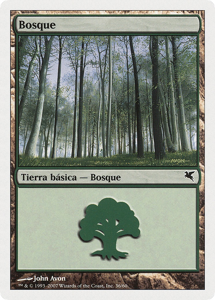 Forest - Image 1