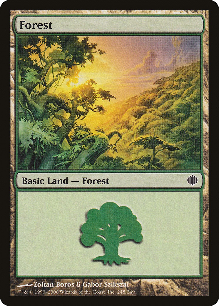 Forest - Image 1