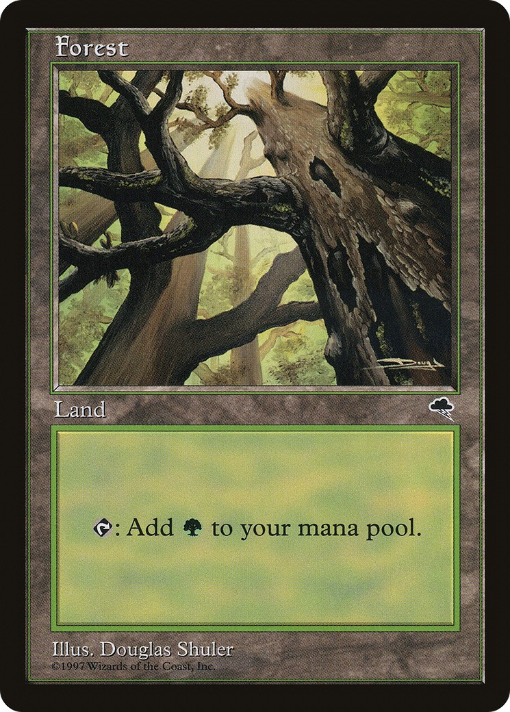 Forest - Image 1