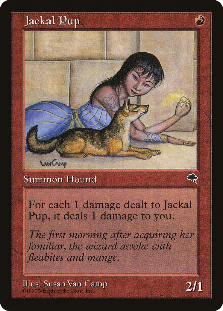 Jackal Pup - Image 1