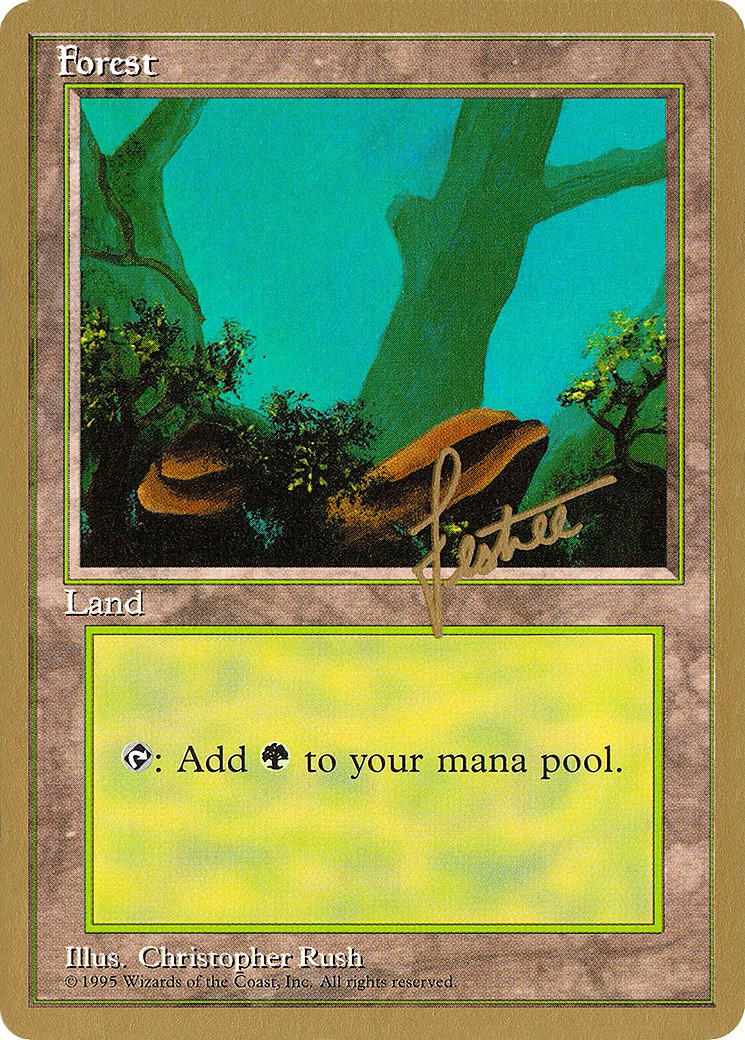 Forest - Image 1