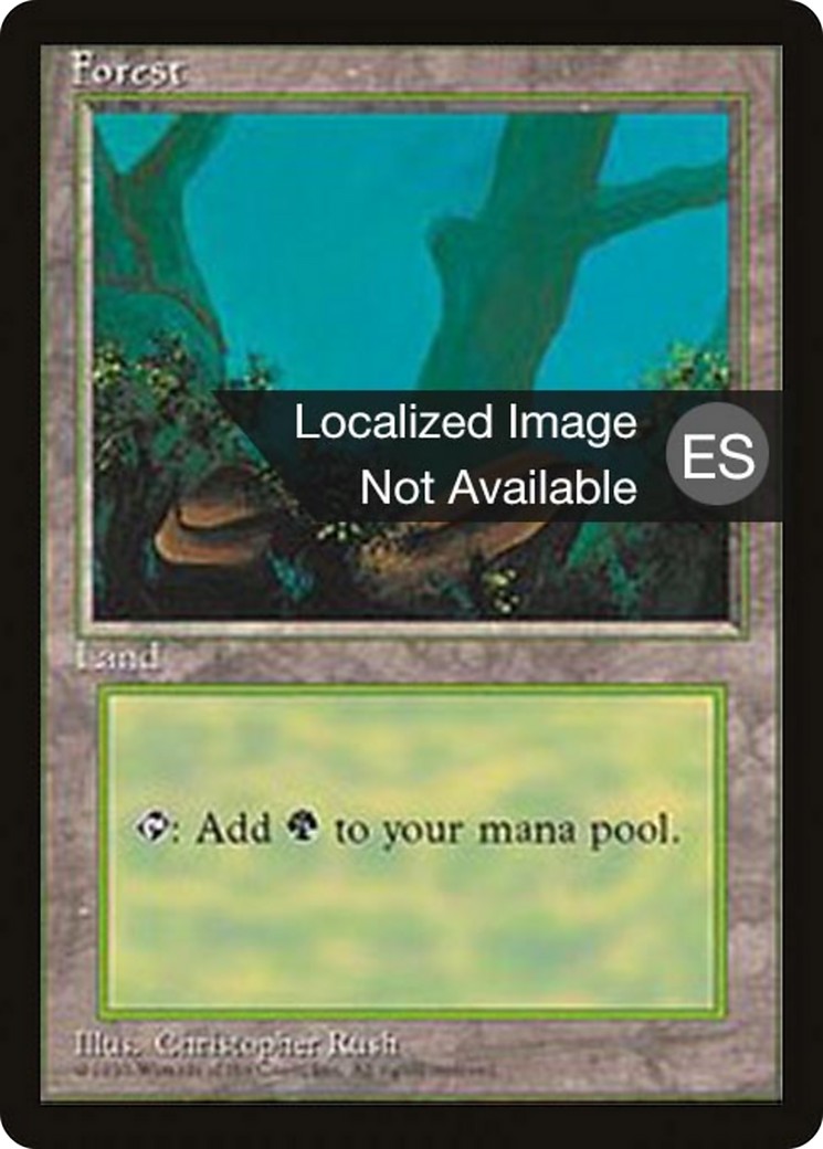 Forest - Image 1
