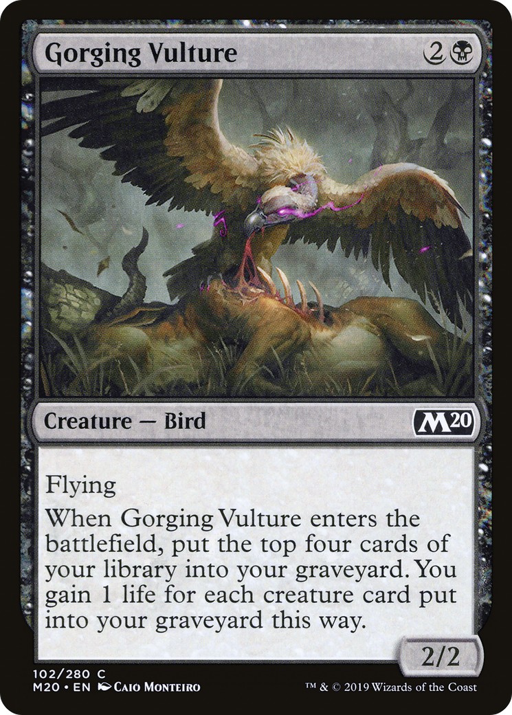 Gorging Vulture - Image 1