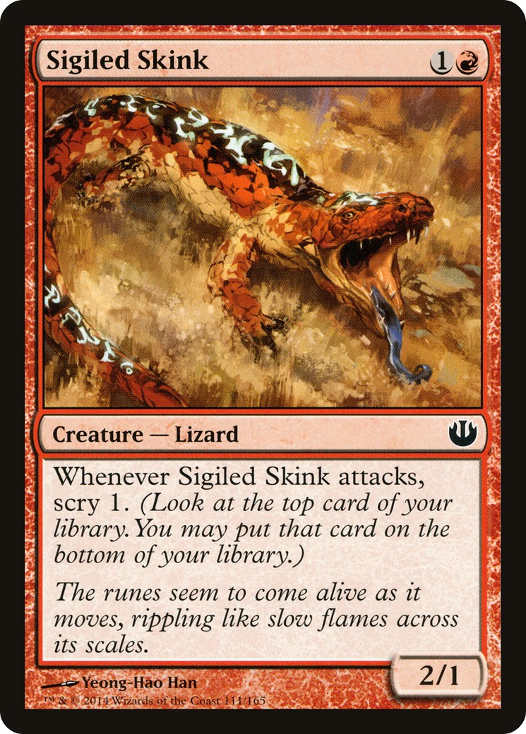 Sigiled Skink - Image 1