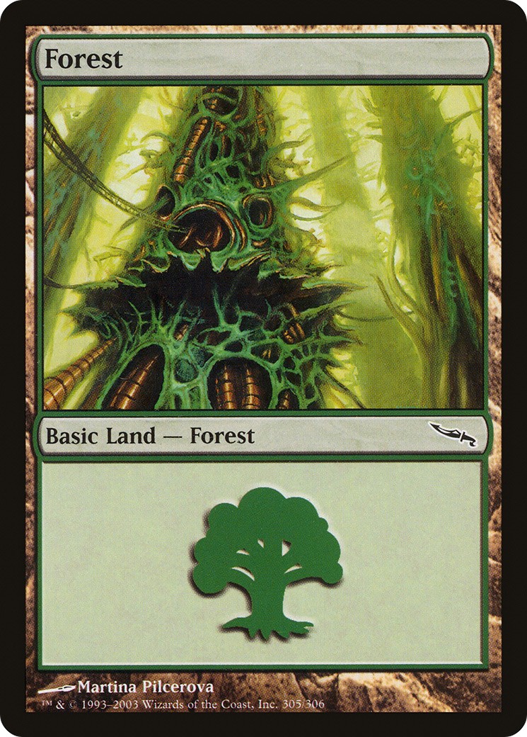 Forest - Image 1