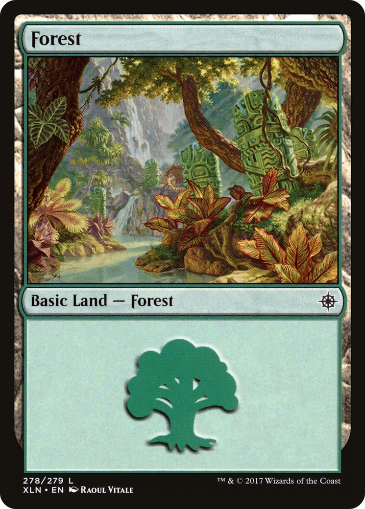 Forest - Image 1