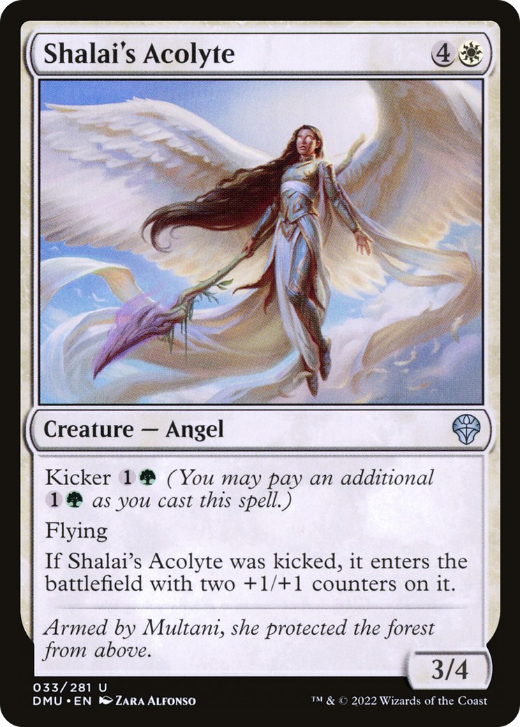 Shalai's Acolyte - Image 1