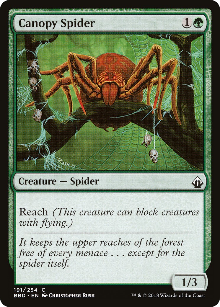 Canopy Spider - Image 1