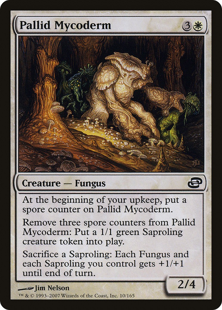 Pallid Mycoderm - Image 1
