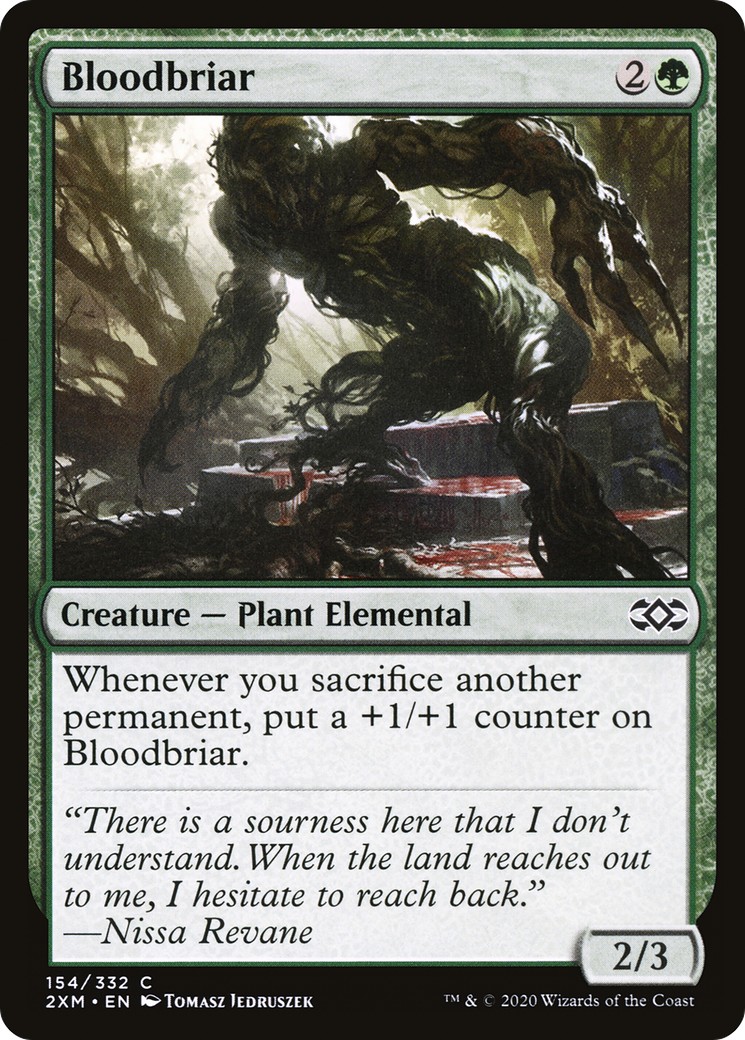 Bloodbriar - Image 1