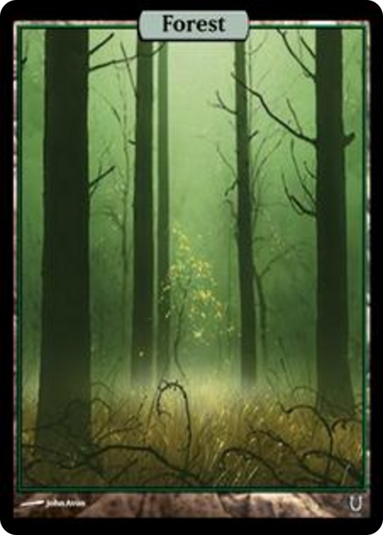 Forest - Image 1