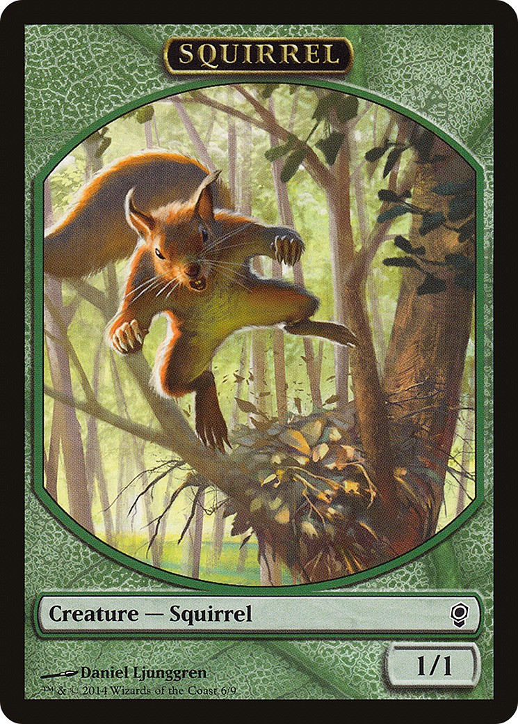 Squirrel - Image 1