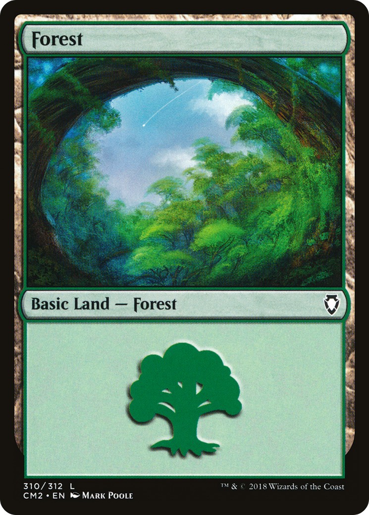 Forest - Image 1