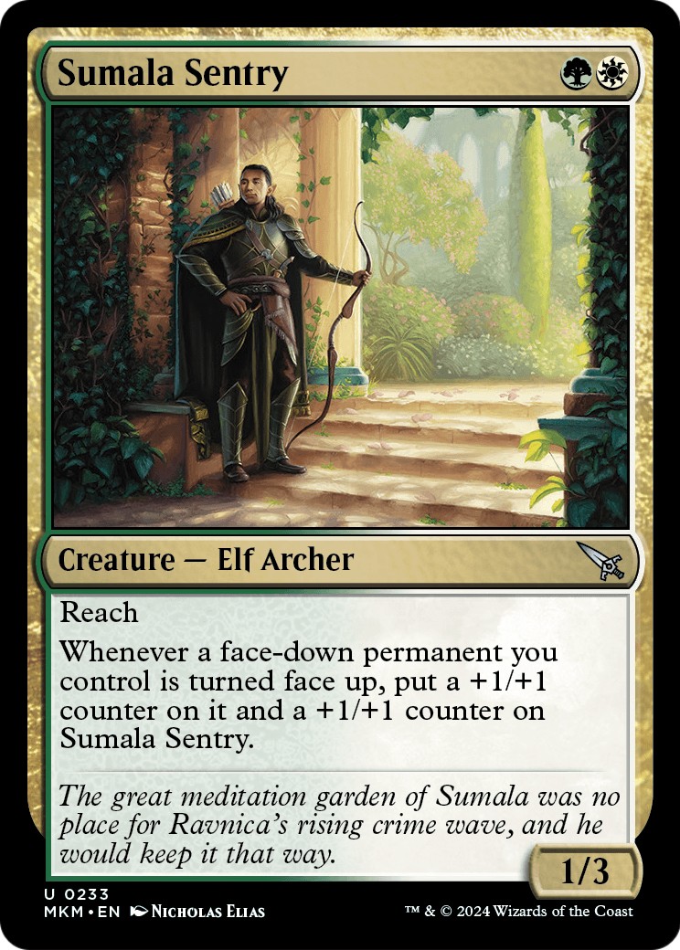 Sumala Sentry - Image 1