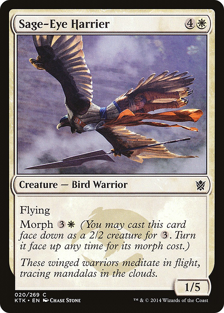Sage-Eye Harrier - Image 1