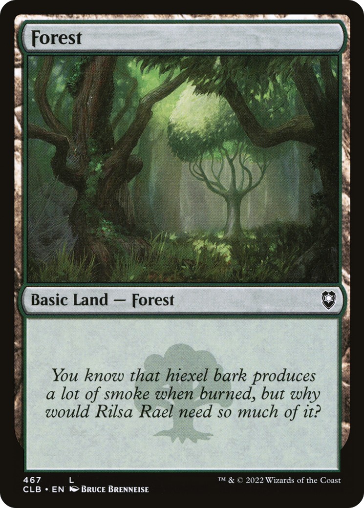Forest - Image 1