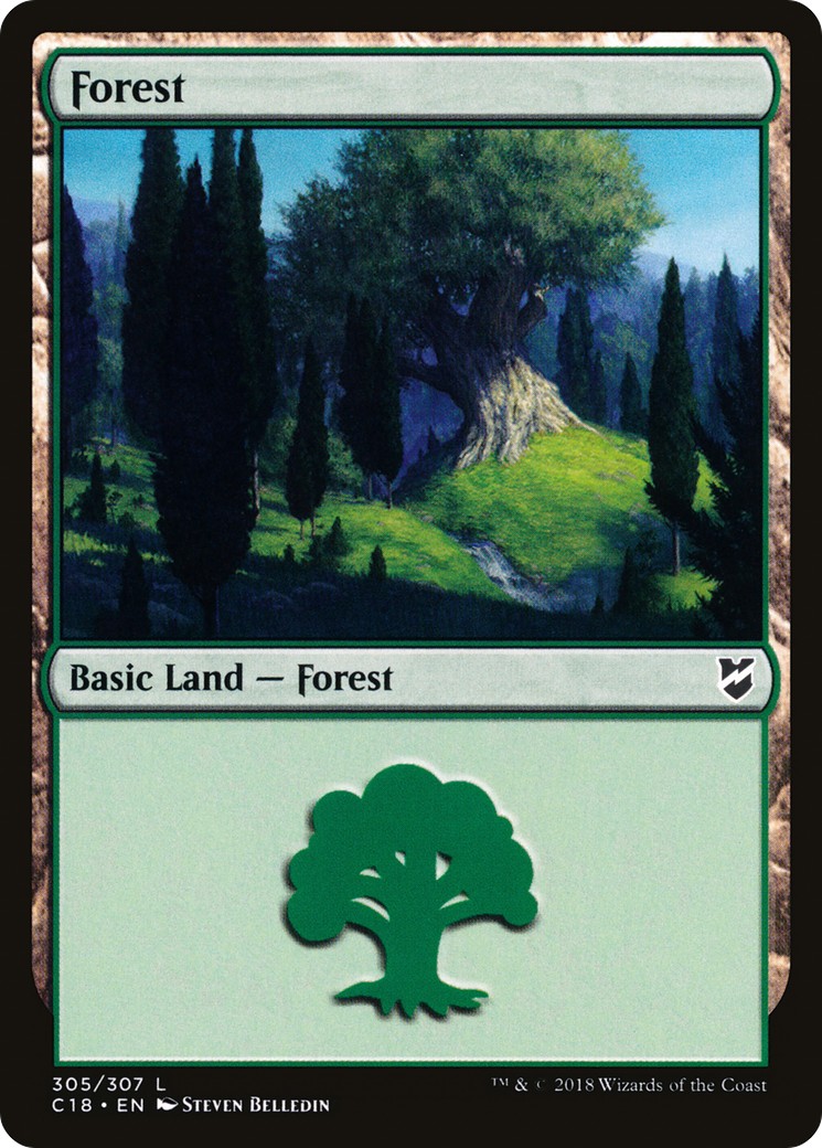 Forest - Image 1