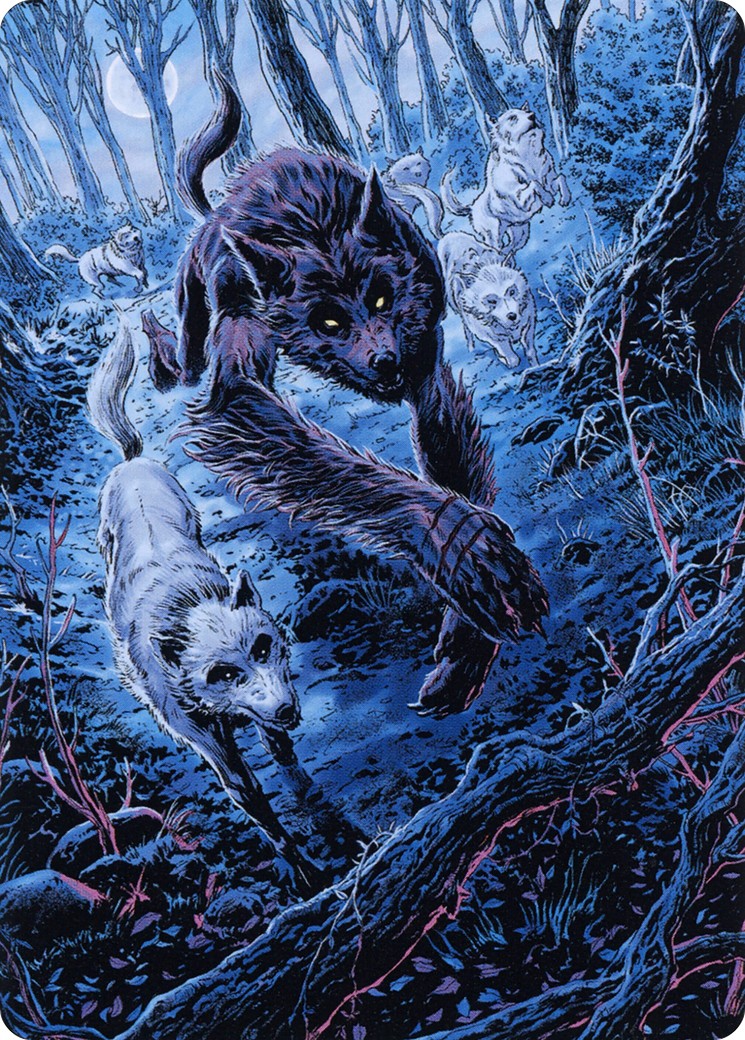 Untamed Pup // Untamed Pup - Image 1