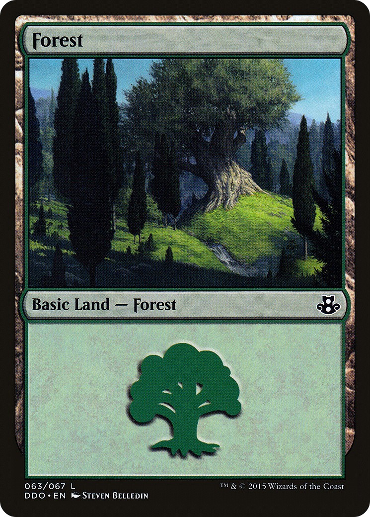 Forest - Image 1