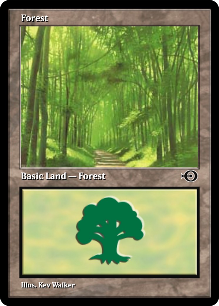 Forest - Image 1