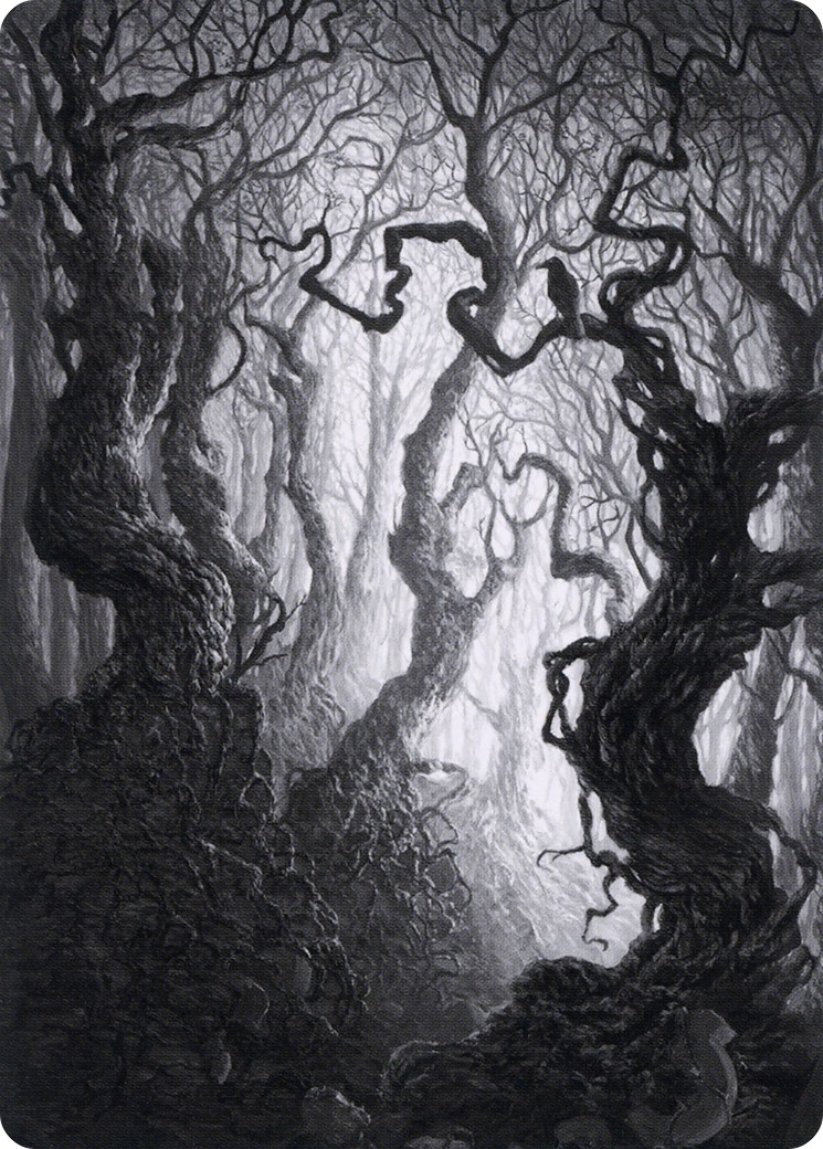 Forest // Forest - Image 1