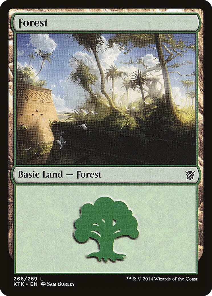 Forest - Image 1
