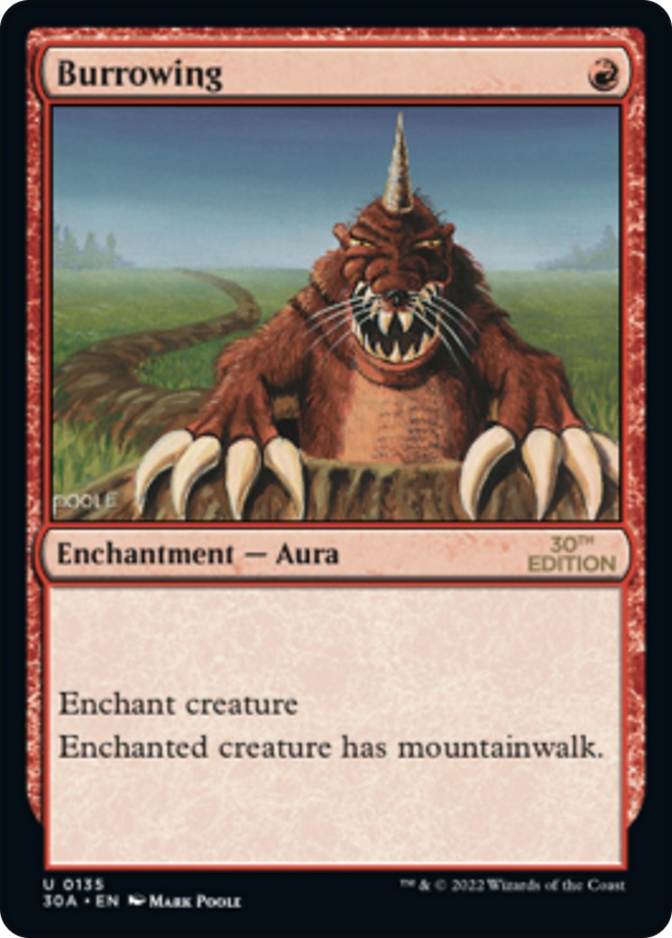 2022 Magic: The Gathering 30th Anniversary Edition 2022 Magic: The Gathering 30th Anniversary Edition #135 trading card