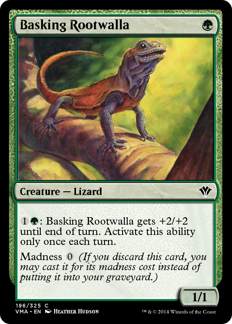 Basking Rootwalla - Image 1