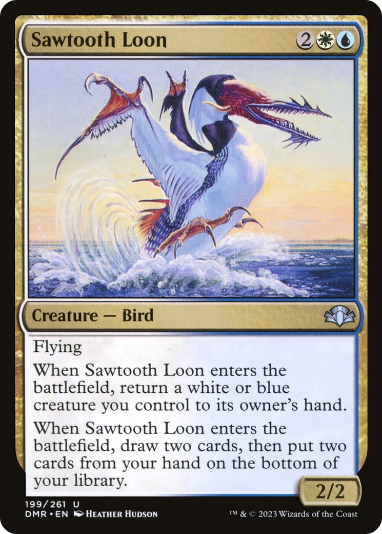 Sawtooth Loon - Image 1