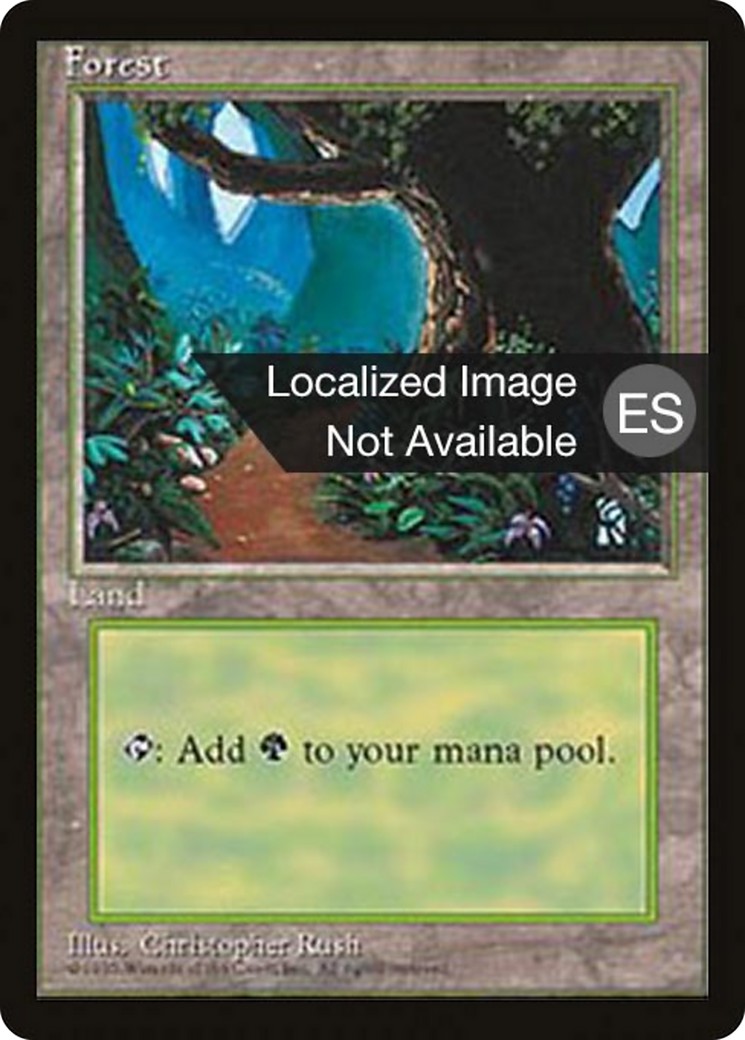 Forest - Image 1