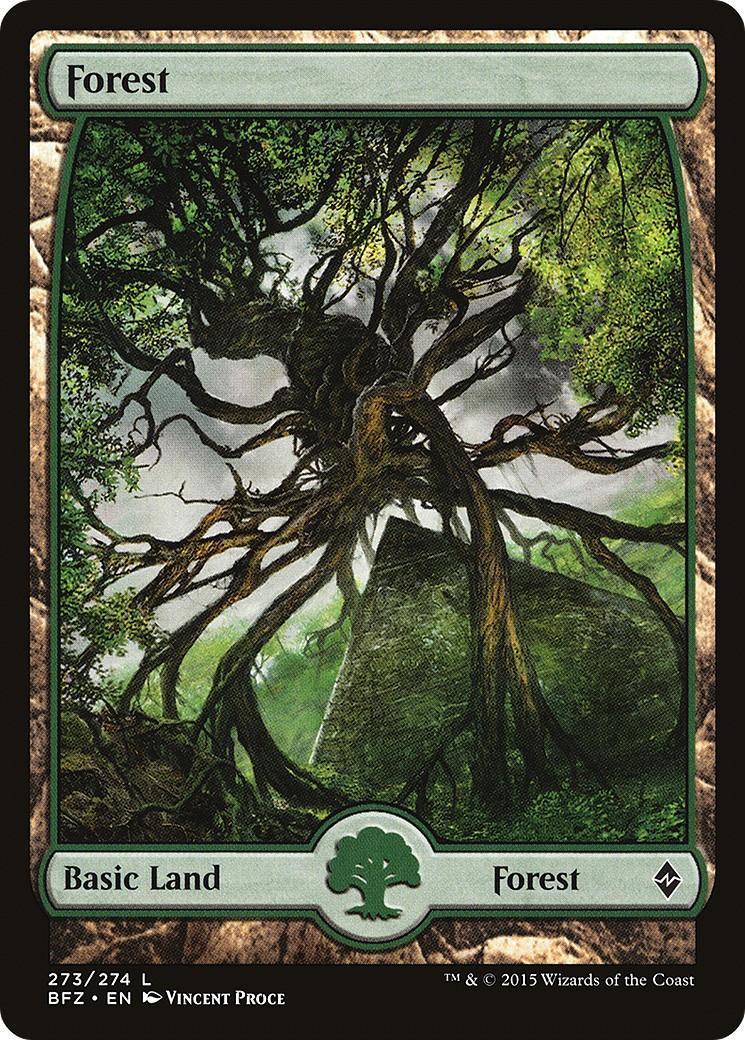 Forest - Image 1