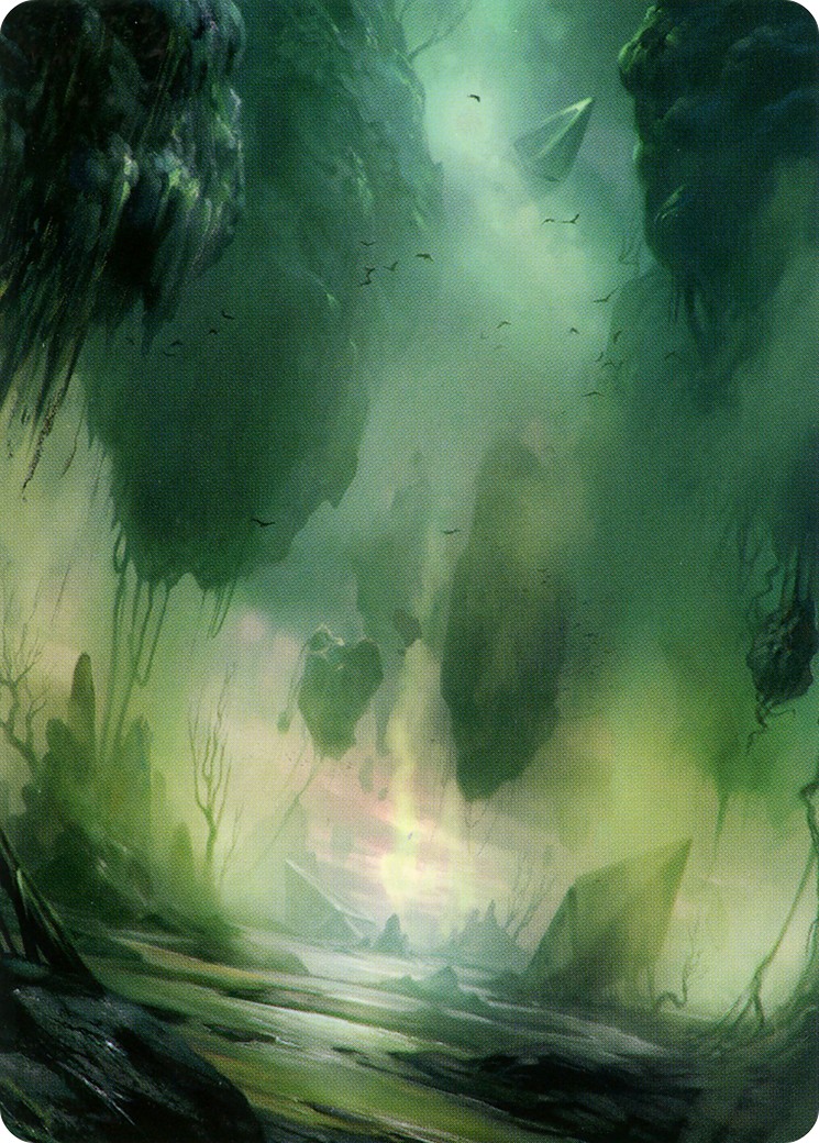 Swamp // Swamp - Image 1