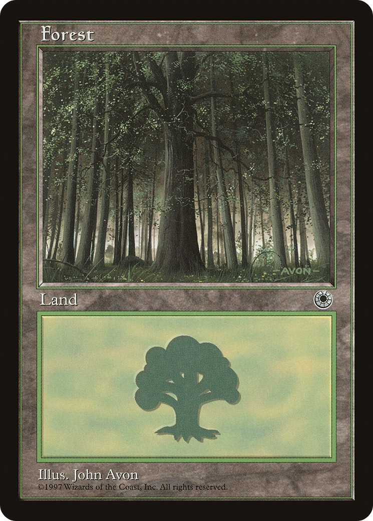 Forest - Image 1
