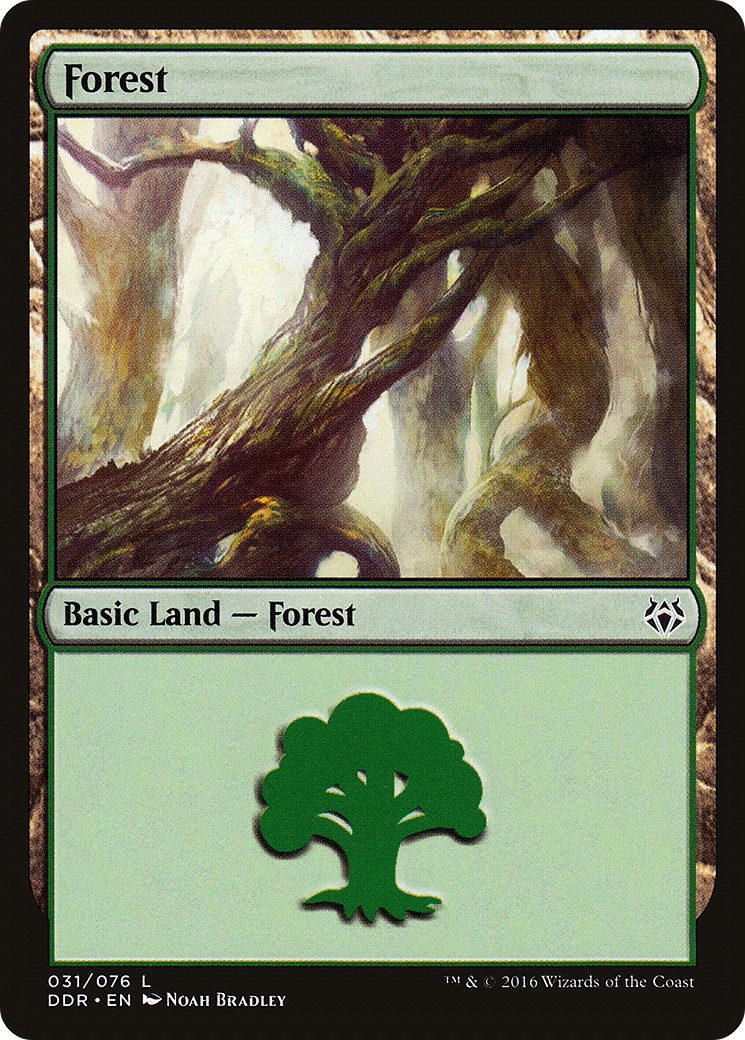 Forest - Image 1