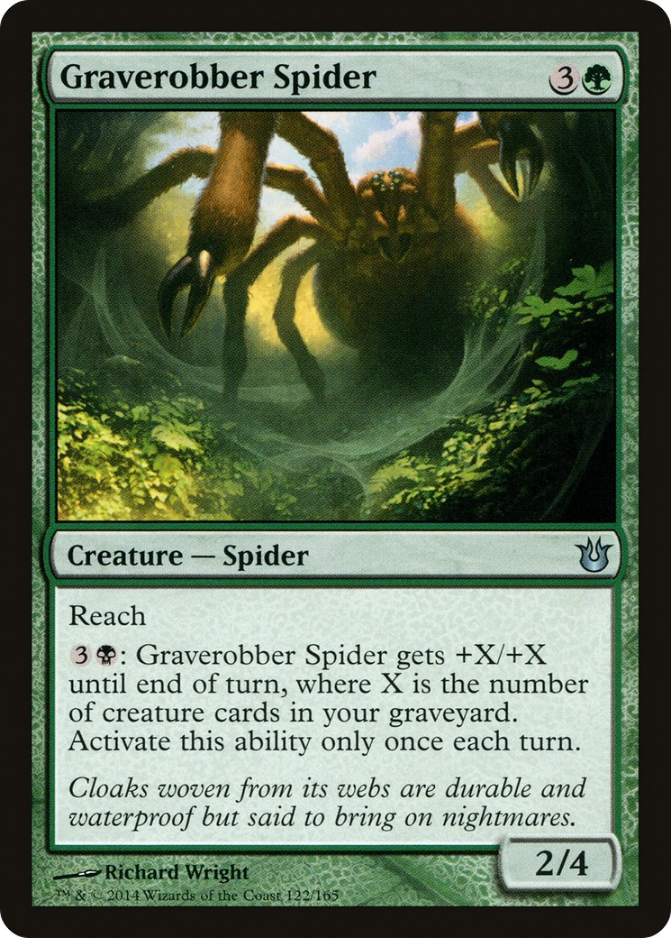 Graverobber Spider - Image 1