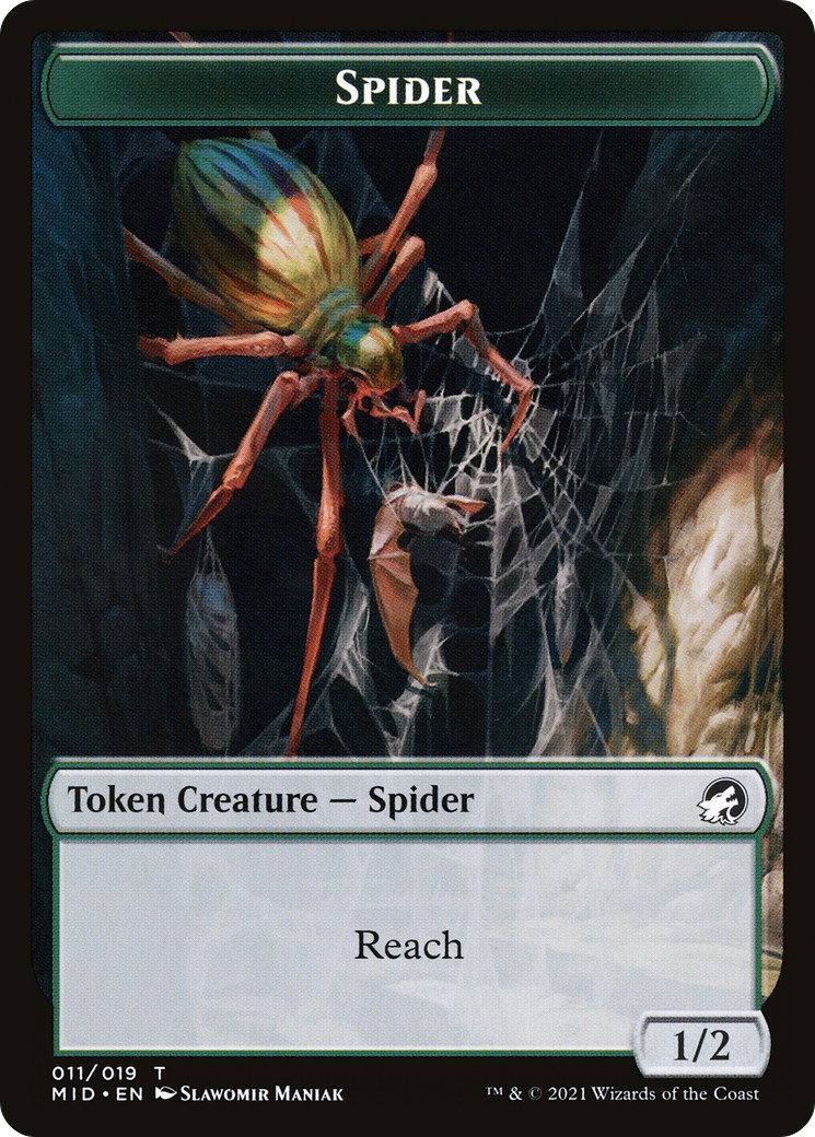 Spider - Image 1
