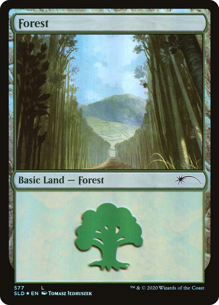 Forest - Image 1